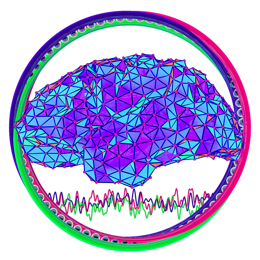 Image for "Math + Neuroscience: Strengthening the Interplay Between Theory and Mathematics"
