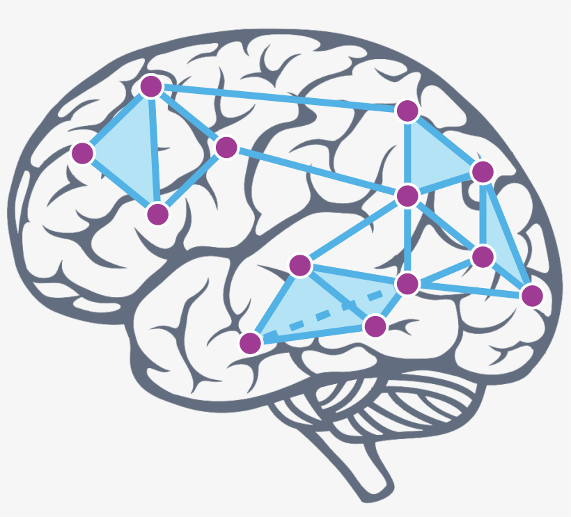 Image for "Topology and Geometry in Neuroscience"