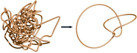 Image for "Tangled in Knot Theory"