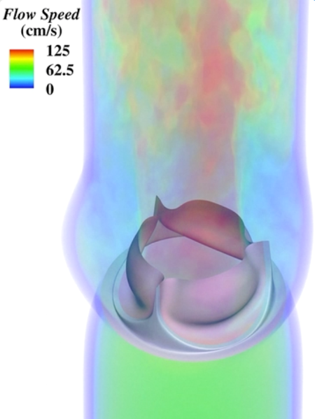 Image for "Numerical Analysis of Multiphysics Problems"