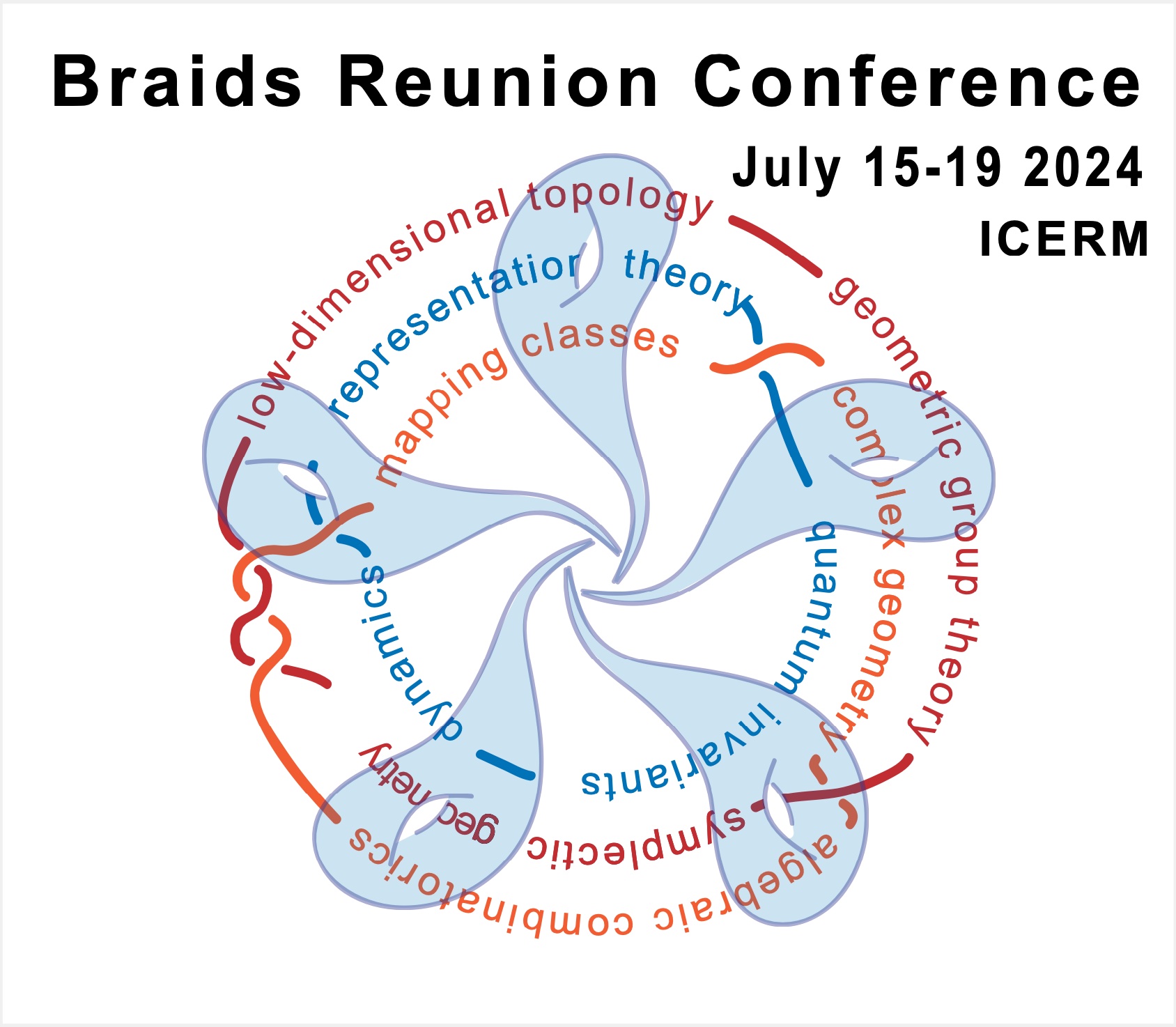Image for "Braids Reunion Workshop"
