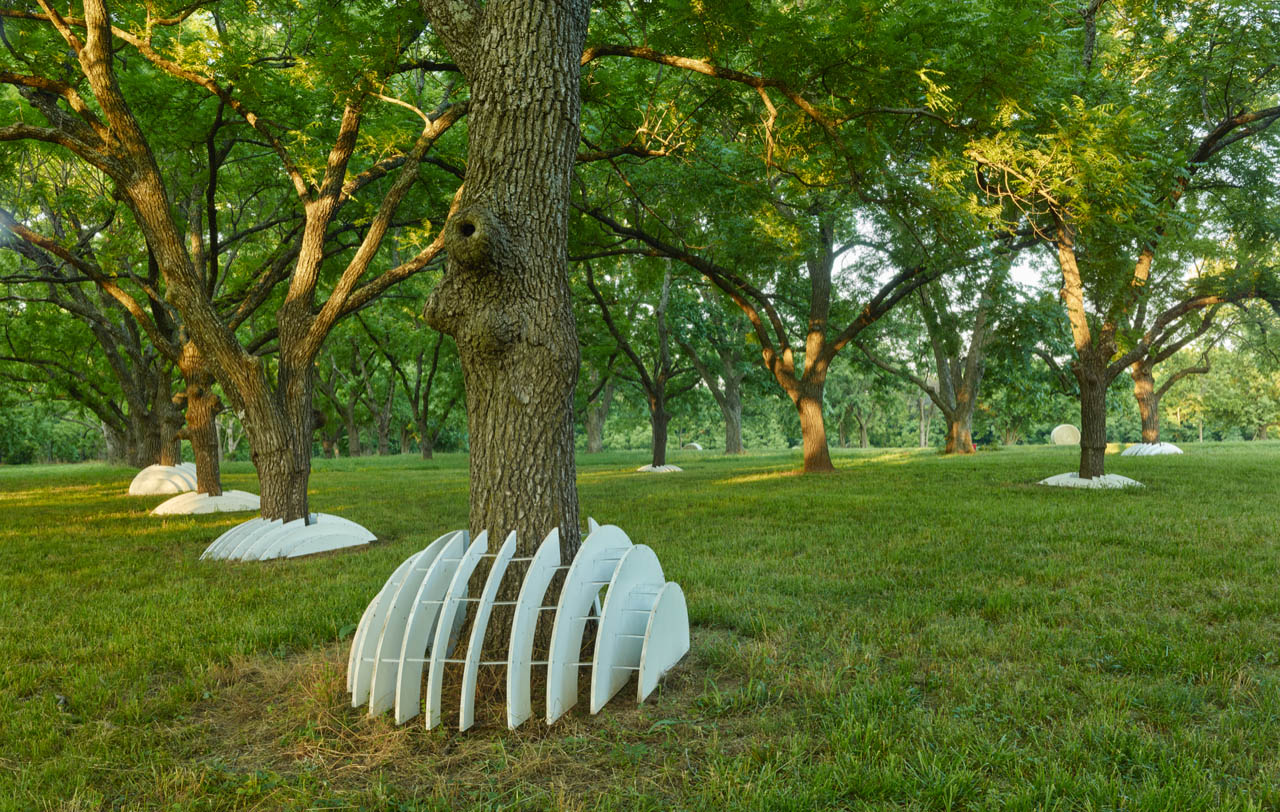 Edmund Harriss (photo copyright Tim Hursley)