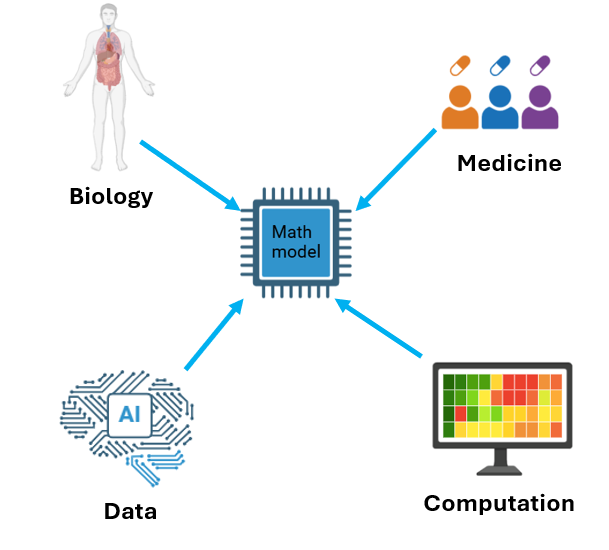 Fostering Cross-Disciplinary Collaboration in Biology, Medicine, and Computational Science