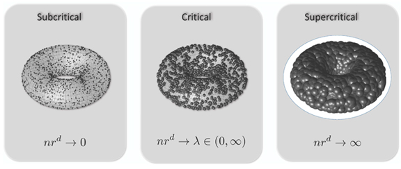 Image for "Stochastic Topology and Thermodynamic Limits "