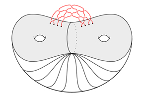 Image for "Combinatorial Link Homology Theories, Braids, and Contact Geometry"